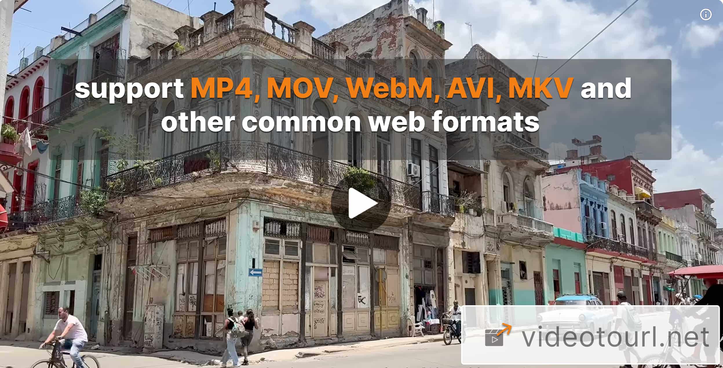 جميع الصيغ مدعومة — MP4 وMOV وWebM وAVI وغيرها